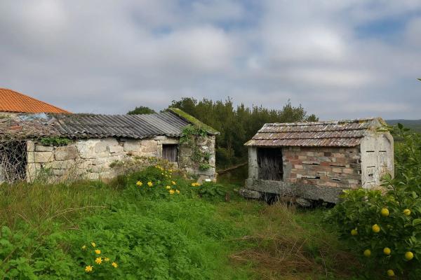 Terreno en Lugar Iglesario