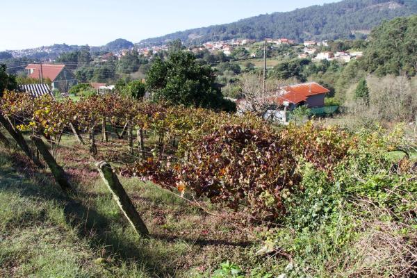 Terreno en calle Couso (Meira), 39 Bis