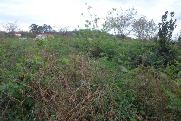 Terreno en Coiro