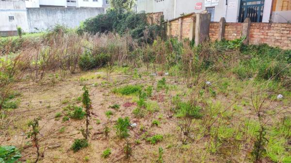 Terreno en calle de Eduardo Vicenti, 43