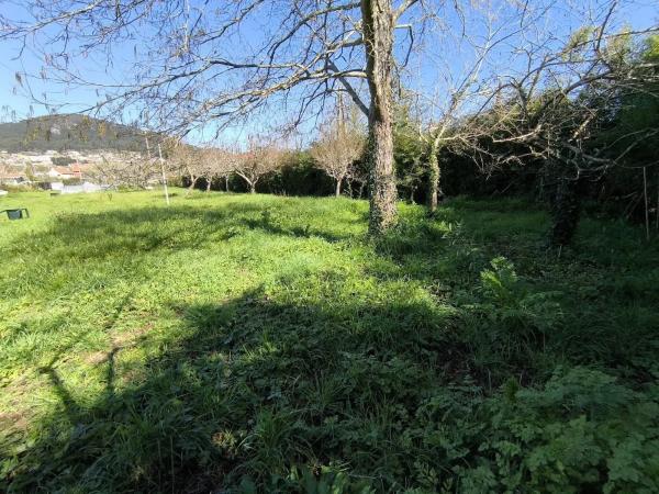 Terreno en Coiro