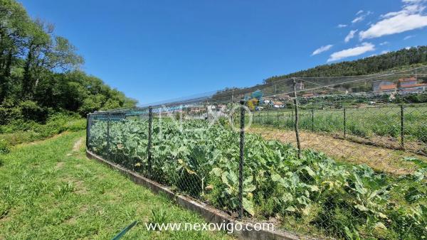 Terreno en calle Seixo Branco