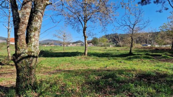Terreno en Poblado Torre