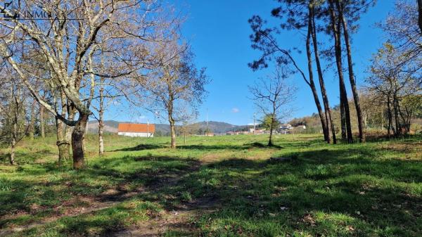 Terreno en Poblado Torre