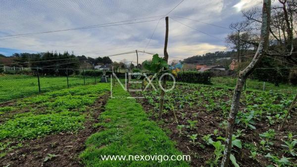 Terreno en calle Seixo Branco