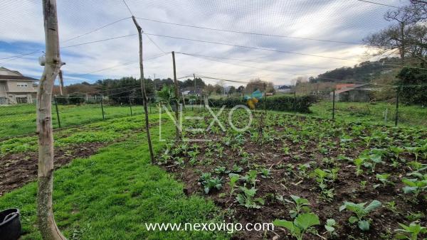Terreno en calle Seixo Branco