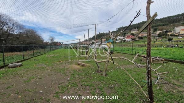 Terreno en calle Seixo Branco