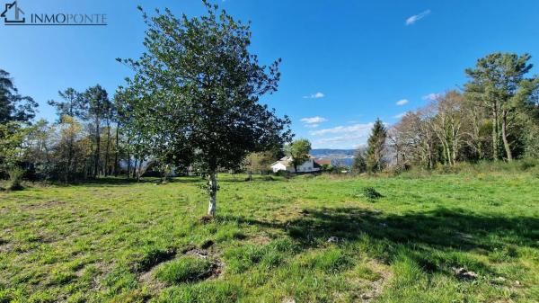 Terreno en Poblado Torre