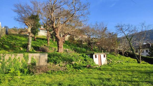 Terreno en Poblado Malvido, 10