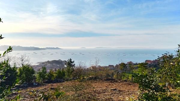 Terreno en Poblado Malvido, 10