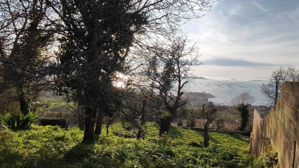 Terreno en Poblado Malvido, 10