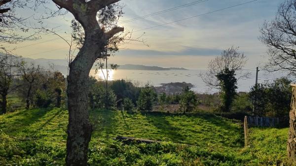 Terreno en Poblado Malvido, 10