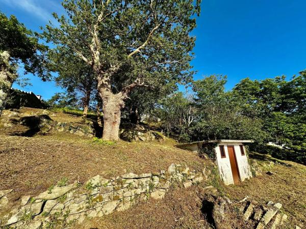Terreno en Poblado Malvido, 10