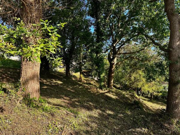 Terreno en Poblado Malvido, 10