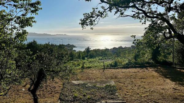 Terreno en Poblado Malvido, 10