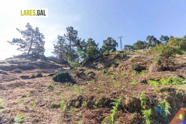 Terreno en calle Sopillo