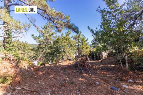 Terreno en calle Sopillo