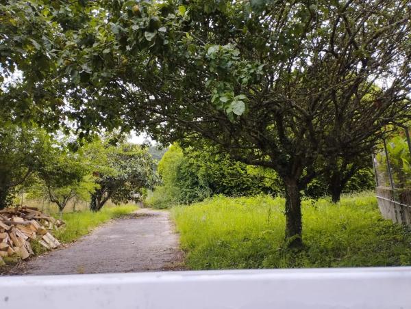 Terreno en Poblado Cabodevila, 21