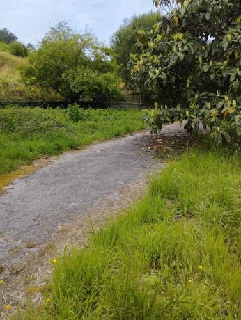 Terreno en Poblado Cabodevila, 21