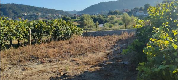 Terreno en Poblado Carregal, 9