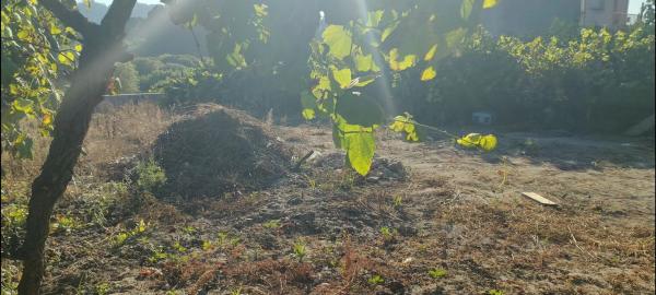 Terreno en Poblado Carregal, 9