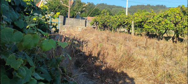 Terreno en Poblado Carregal, 9