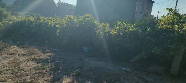 Terreno en Poblado Carregal, 9