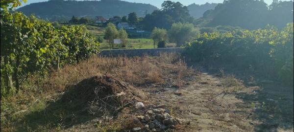 Terreno en Poblado Carregal, 9