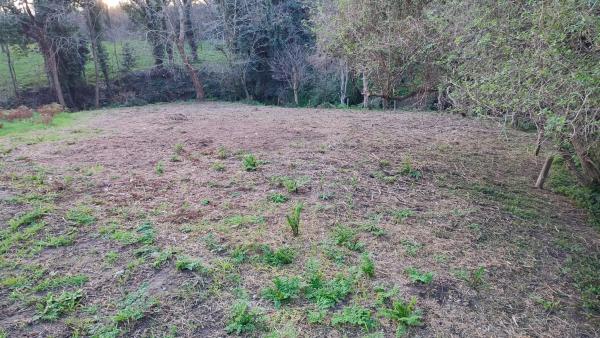 Terreno en Lugar o Reibon, 197