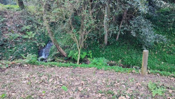 Terreno en Lugar o Reibon, 197