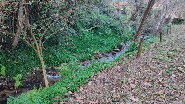 Terreno en Lugar o Reibon, 197
