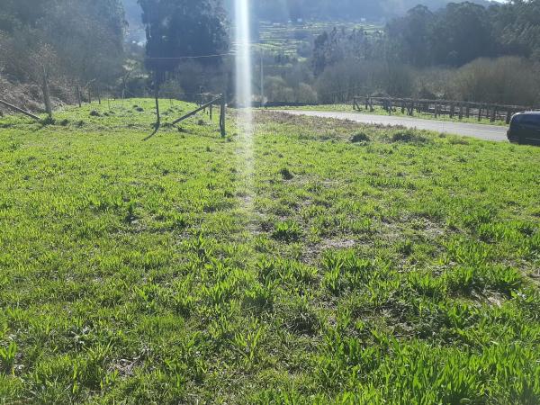 Terreno en Ruanova s/n sn