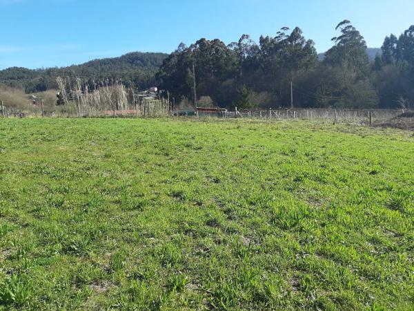 Terreno en Ruanova s/n sn