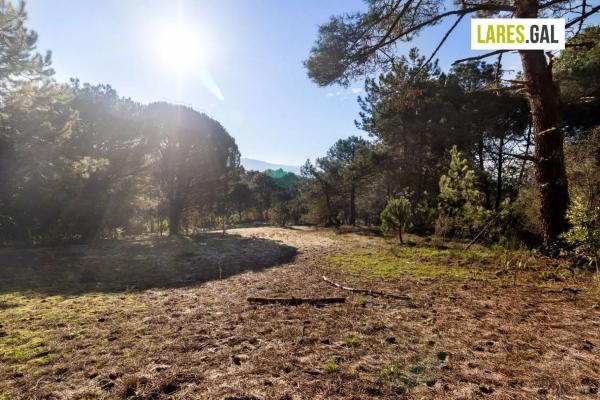 Terreno en calle Fenteiras