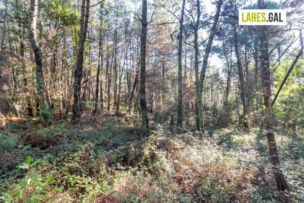 Terreno en calle Fenteiras