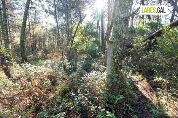 Terreno en calle Fenteiras