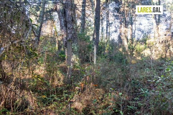Terreno en calle Fenteiras