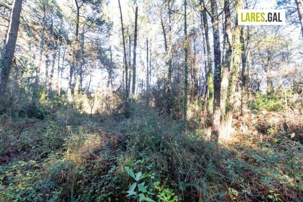 Terreno en calle Fenteiras