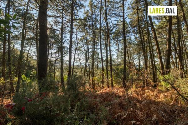 Terreno en calle Fenteiras