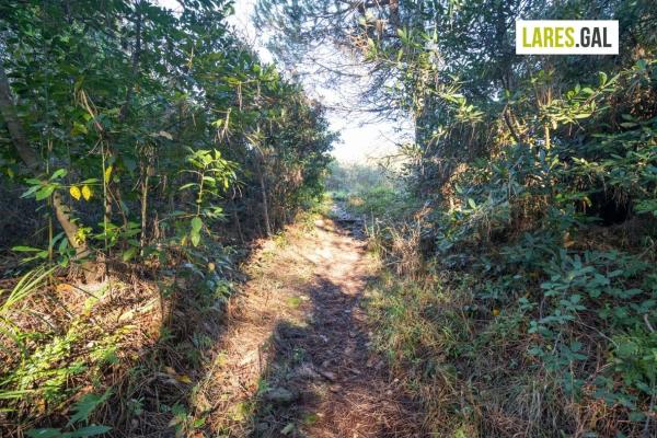 Terreno en calle Fenteiras