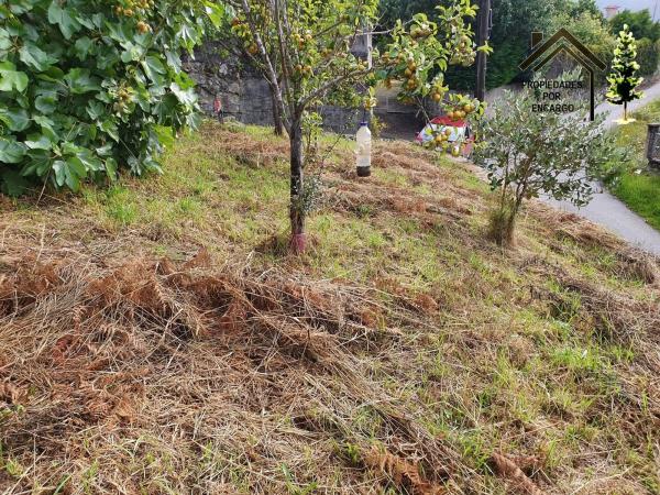 Terreno en Lugar Xalde