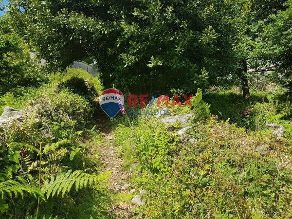 Terreno en lugar a Portela