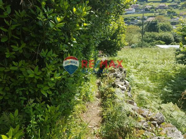 Terreno en lugar a Portela