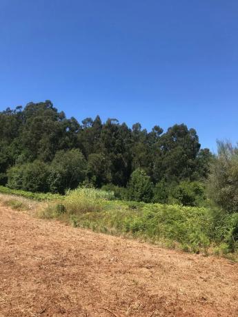 Terreno en Po-551, km 551