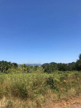 Terreno en Po-551, km 551