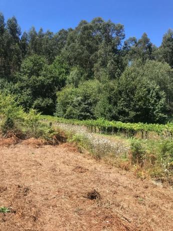 Terreno en Po-551, km 551