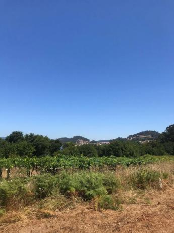 Terreno en Po-551, km 551