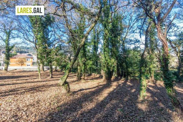 Terreno en calle Ximeu