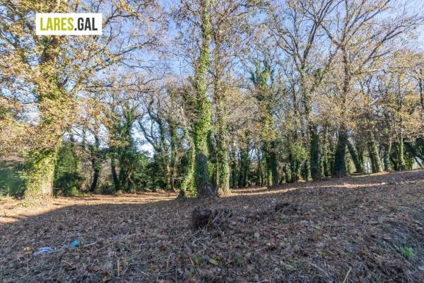 Terreno en calle Ximeu