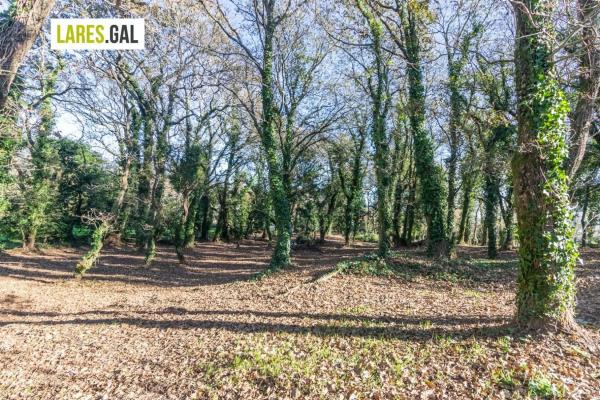 Terreno en calle Ximeu